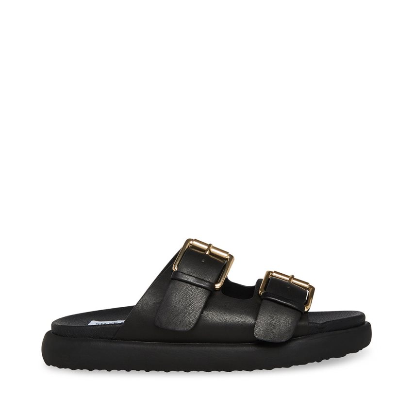 Black Steve Madden Nevara Women's Slides | PH 6597NOH